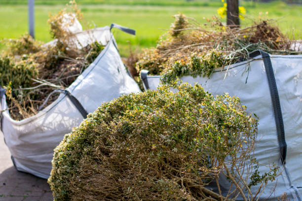 Best Shed Removal  in Columbia, TN